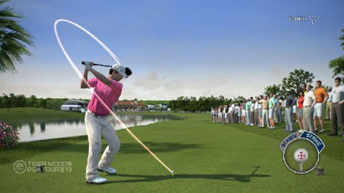 Tiger Woods PGA Tour 13 [Importación inglesa]