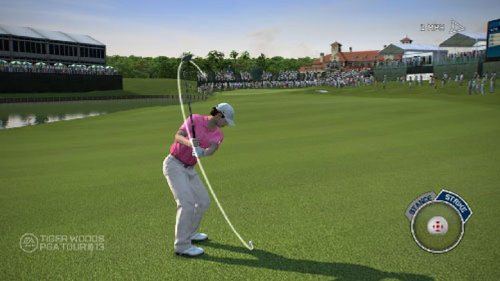 Tiger Woods PGA Tour 13 [Importación inglesa]