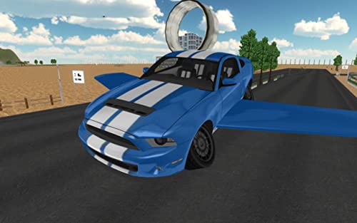 Flying Car Driving Simulator