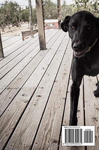 Notebook: A Black Lab Runs Joyfully Along A Porch , Journal for Writing, College Ruled Size 6" x 9", 110 Pages