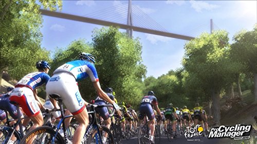 Pro Cycling Manager 2015 - Silver [Importación Francesa]