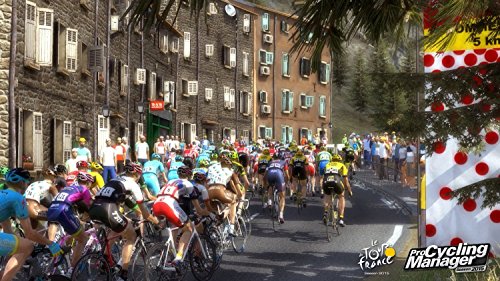 Pro Cycling Manager 2015 - Silver [Importación Francesa]