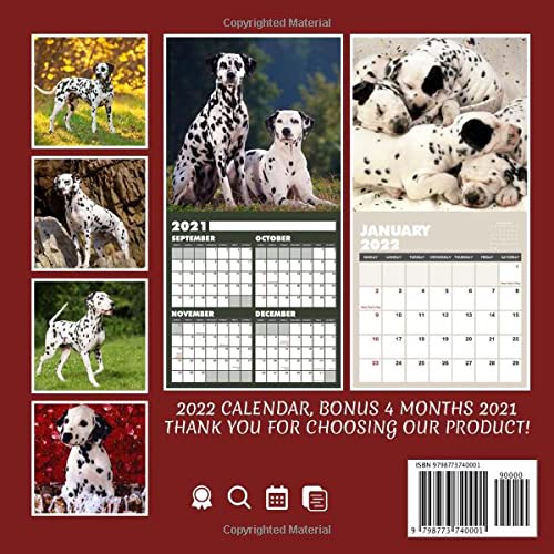 Dalmatians Puppies 2022 Calendar: Beautiful Animals Calendar 2022, January 2022 - December 2022, 12 Months, OFFICIAL Squared Monthly, Mini Planner | ... Calendrier | BONUS Last 4 Months 2021