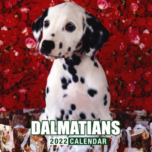 Dalmatians Puppies 2022 Calendar: Beautiful Animals Calendar 2022, January 2022 - December 2022, 12 Months, OFFICIAL Squared Monthly, Mini Planner | ... Calendrier | BONUS Last 4 Months 2021