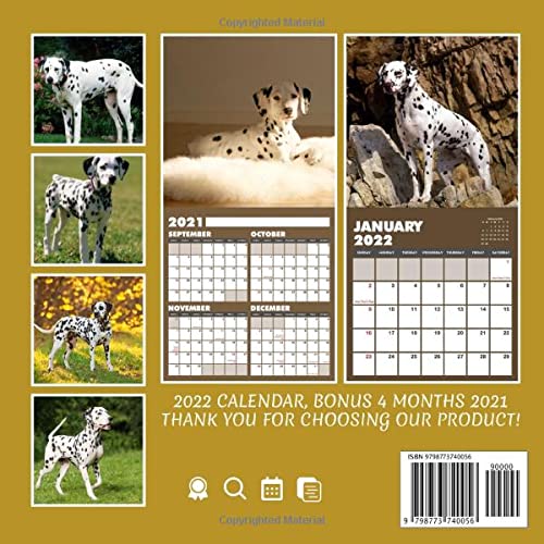 Dalmatians Puppies 2022 Calendar: Beautiful Animals Calendar 2022, January 2022 - December 2022, 12 Months, OFFICIAL Squared Monthly, Mini Planner | ... Calendrier | BONUS Last 4 Months 2021