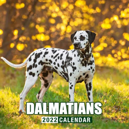 Dalmatians Puppies 2022 Calendar: Beautiful Animals Calendar 2022, January 2022 - December 2022, 12 Months, OFFICIAL Squared Monthly, Mini Planner | ... Calendrier | BONUS Last 4 Months 2021