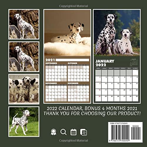 Dalmatians Puppies 2022 Calendar: Beautiful Animals Calendar 2022, January 2022 - December 2022, 12 Months, OFFICIAL Squared Monthly, Mini Planner | ... Calendrier | BONUS Last 4 Months 2021