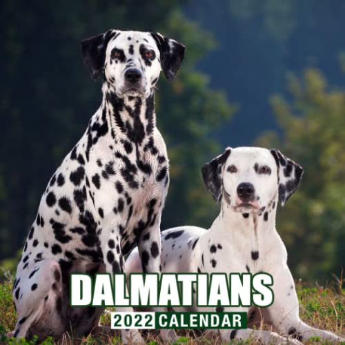 Dalmatians Puppies 2022 Calendar: Beautiful Animals Calendar 2022, January 2022 - December 2022, 12 Months, OFFICIAL Squared Monthly, Mini Planner | ... Calendrier | BONUS Last 4 Months 2021