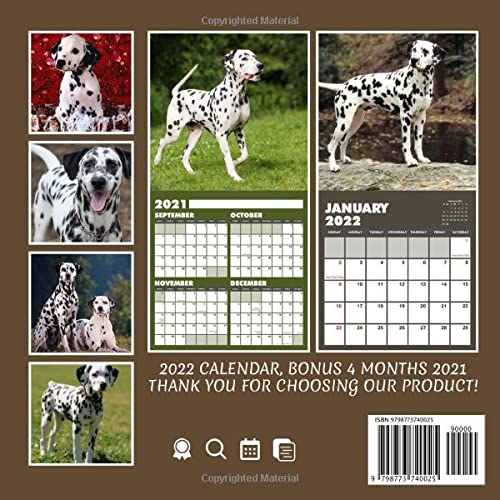 Dalmatians Puppies 2022 Calendar: Beautiful Animals Calendar 2022, January 2022 - December 2022, 12 Months, OFFICIAL Squared Monthly, Mini Planner | ... Calendrier | BONUS Last 4 Months 2021