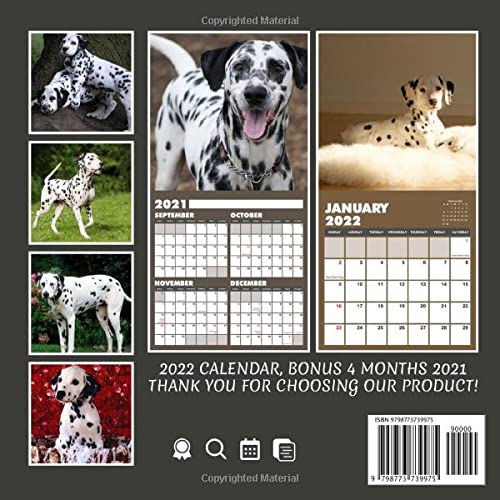 Dalmatians Puppies 2022 Calendar: Beautiful Animals Calendar 2022, January 2022 - December 2022, 12 Months, OFFICIAL Squared Monthly, Mini Planner | ... Calendrier | BONUS Last 4 Months 2021