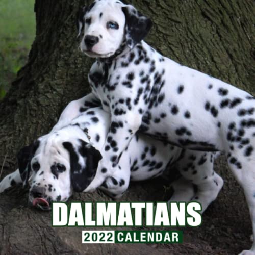 Dalmatians Puppies 2022 Calendar: Beautiful Animals Calendar 2022, January 2022 - December 2022, 12 Months, OFFICIAL Squared Monthly, Mini Planner | ... Calendrier | BONUS Last 4 Months 2021