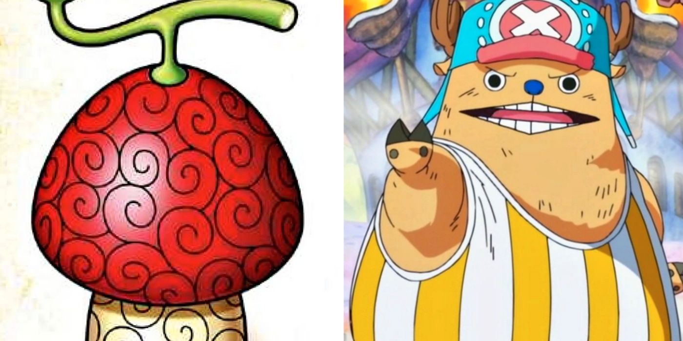 One Piece Todo Lo Que Debes Saber De La Nueva Fruta D Vrogue Co