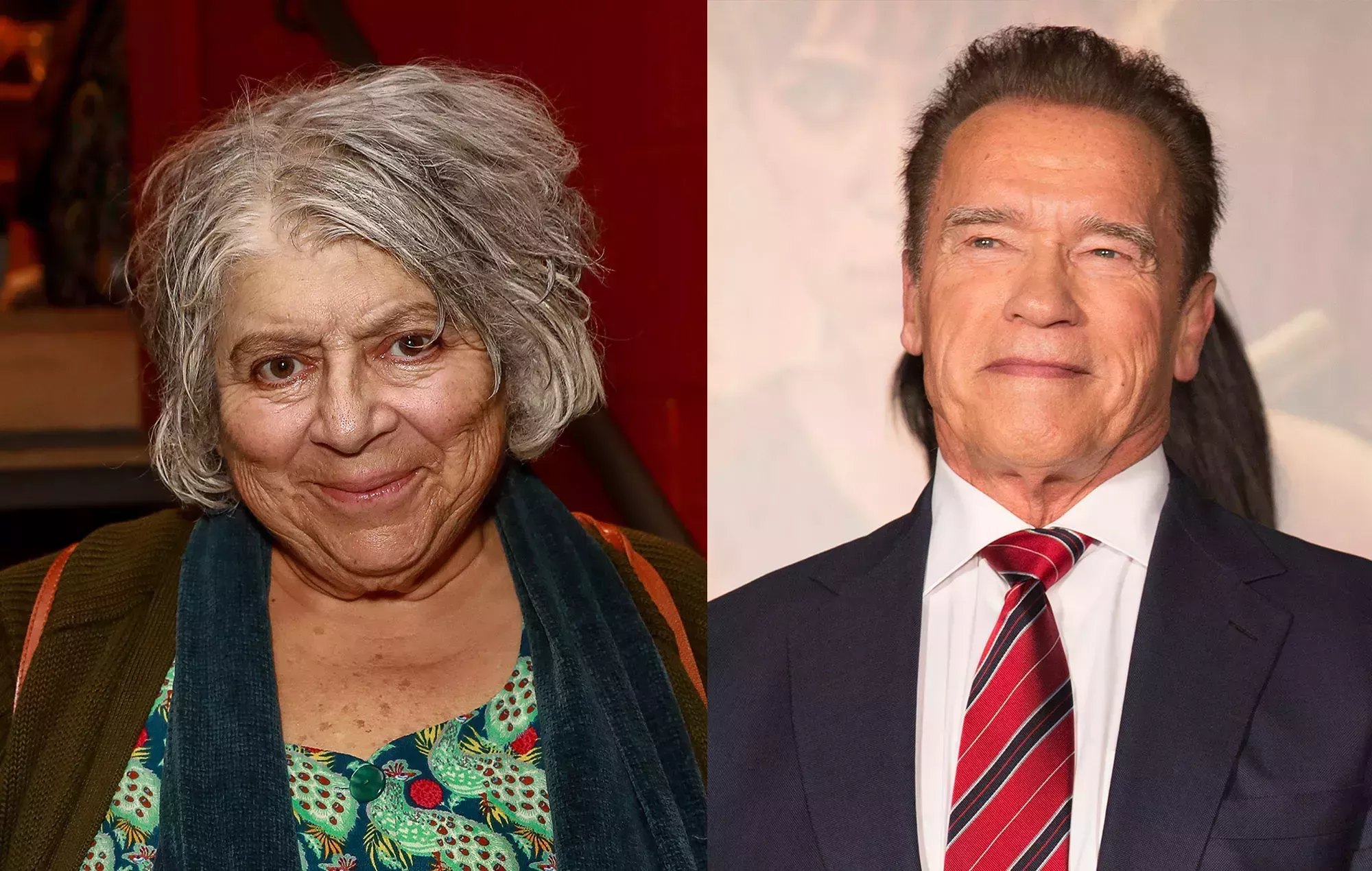 Miriam Margolyes dice que Arnold Schwarzenegger se 