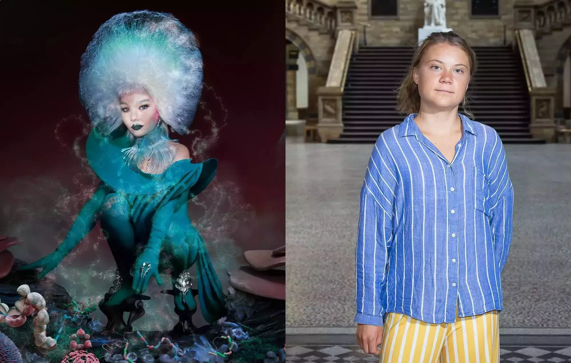 Björk y Greta Thunberg en una conversación: 