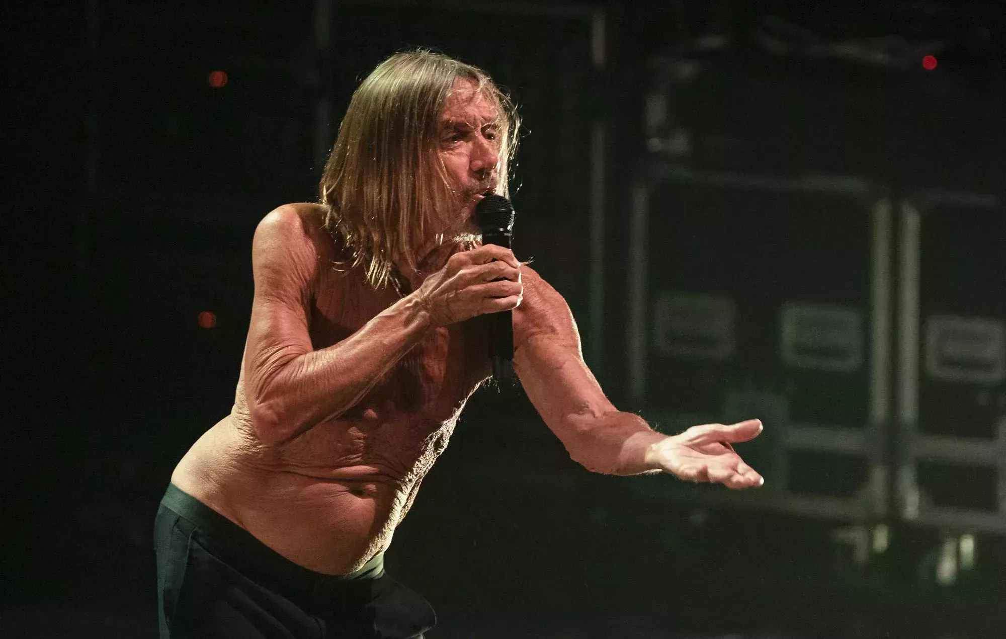 Iggy Pop nunca 