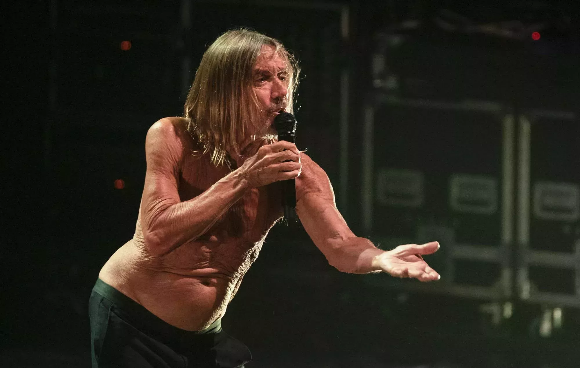 Una vez pidieron a Iggy Pop que se uniera a AC/DC: 