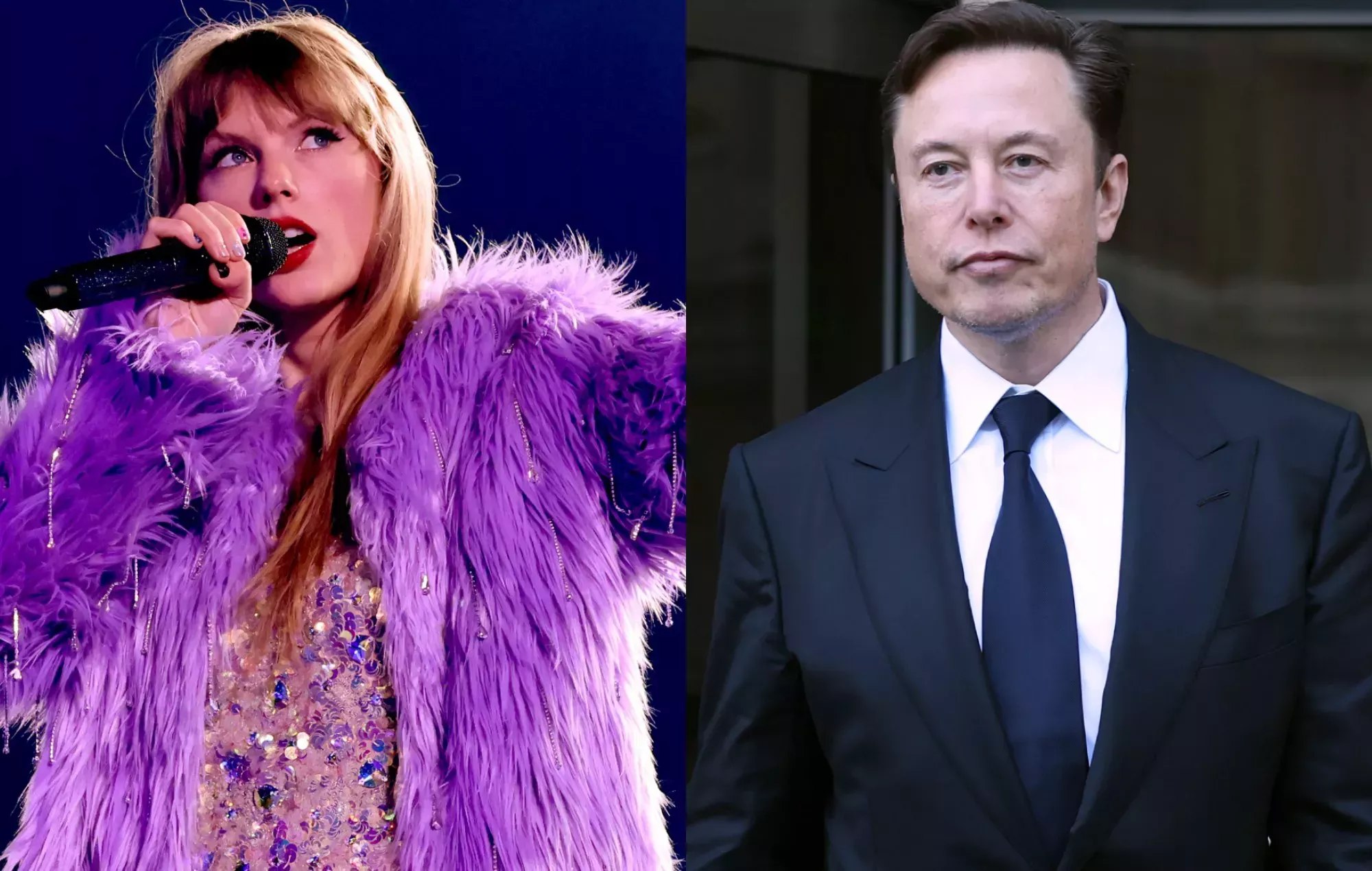 Los fans de Taylor Swift le dicen a Elon Musk que 