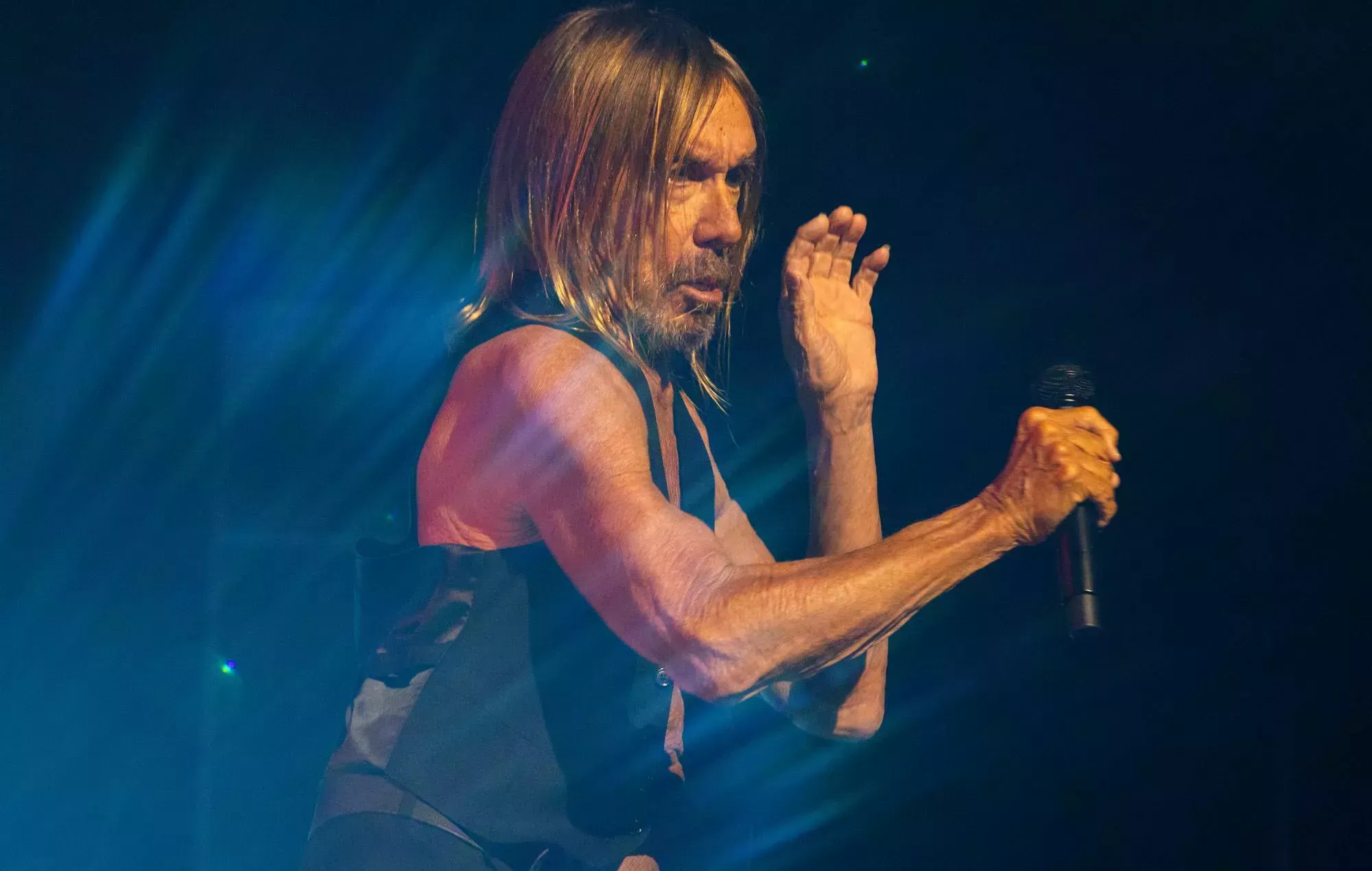 Mira cómo Iggy Pop versiona 'Walk On The Wild Side' de Lou Reed con Duff McKagan, Chad Smith y más