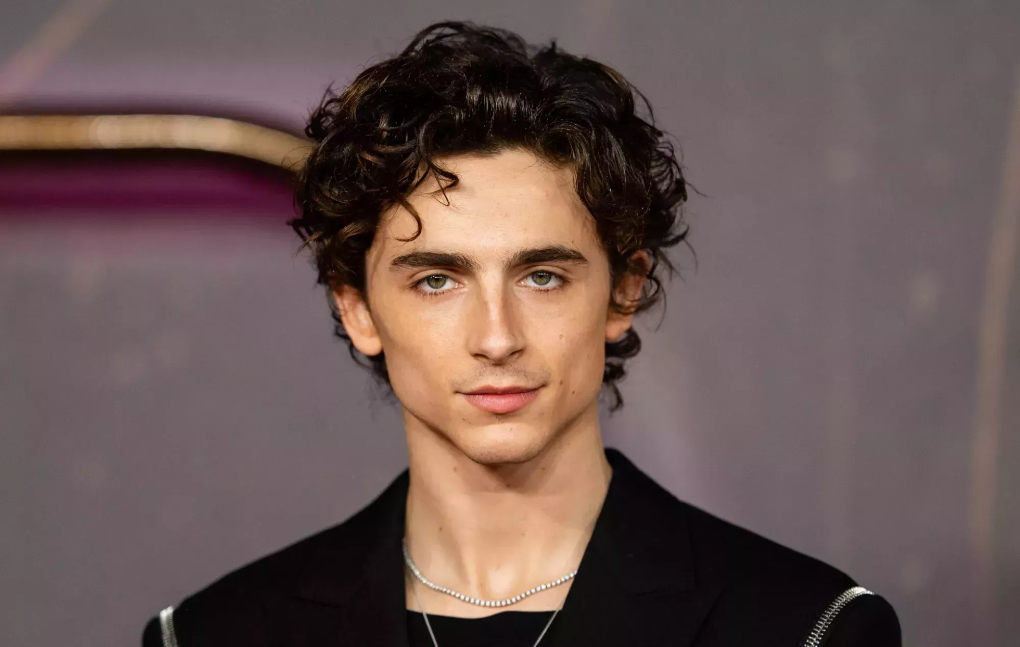 Timothée Chalamet le dijo a Greta Gerwig que debería haber actuado en 