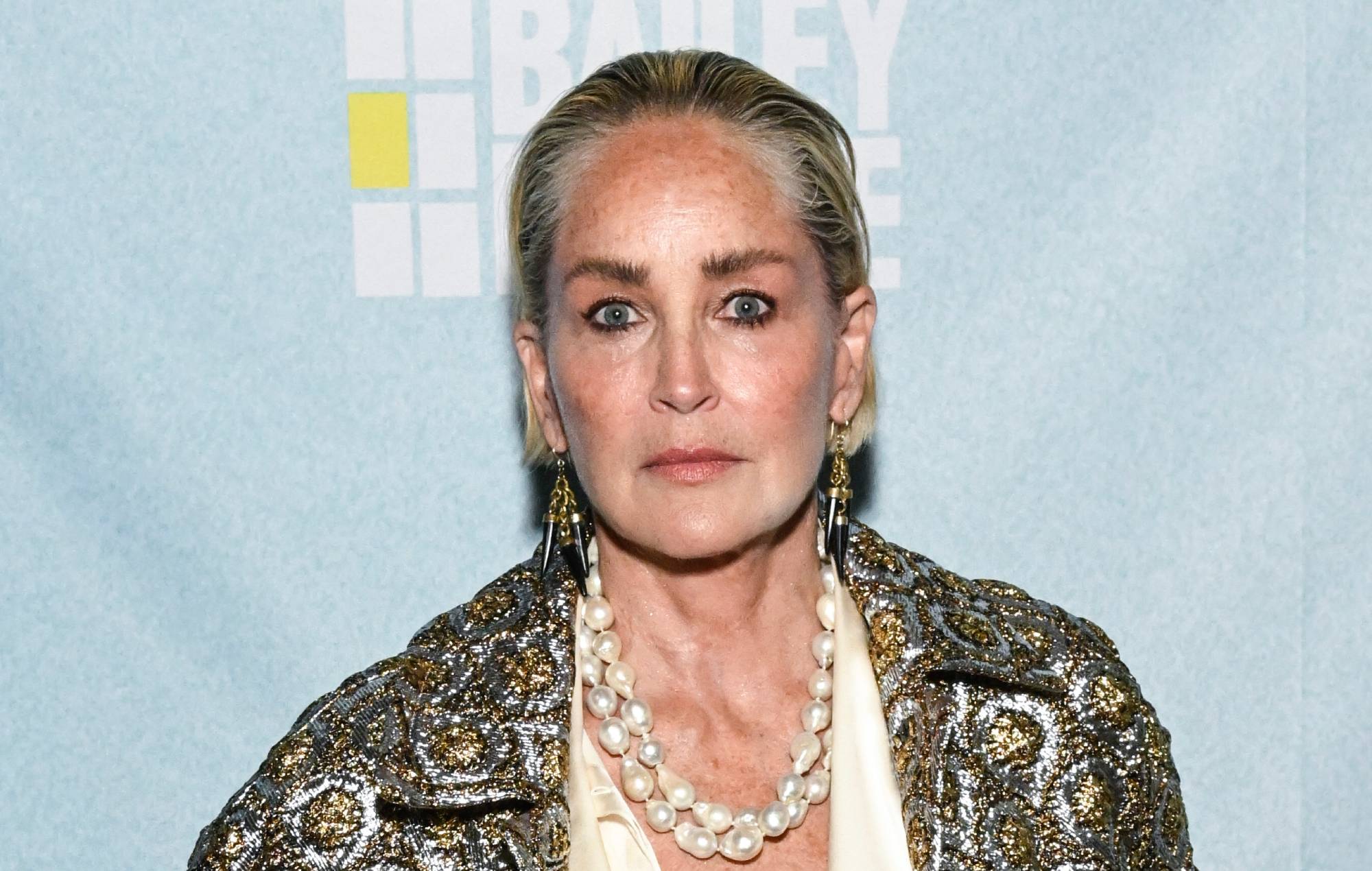 Sharon Stone Afirma Que Su Ex Jefe En Sony La Acos Sexualmente En Los