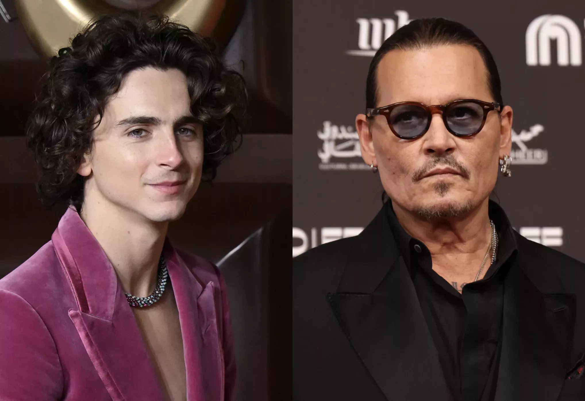 Timothée Chalamet no pidió consejo a Johnny Depp antes de interpretar a Wonka