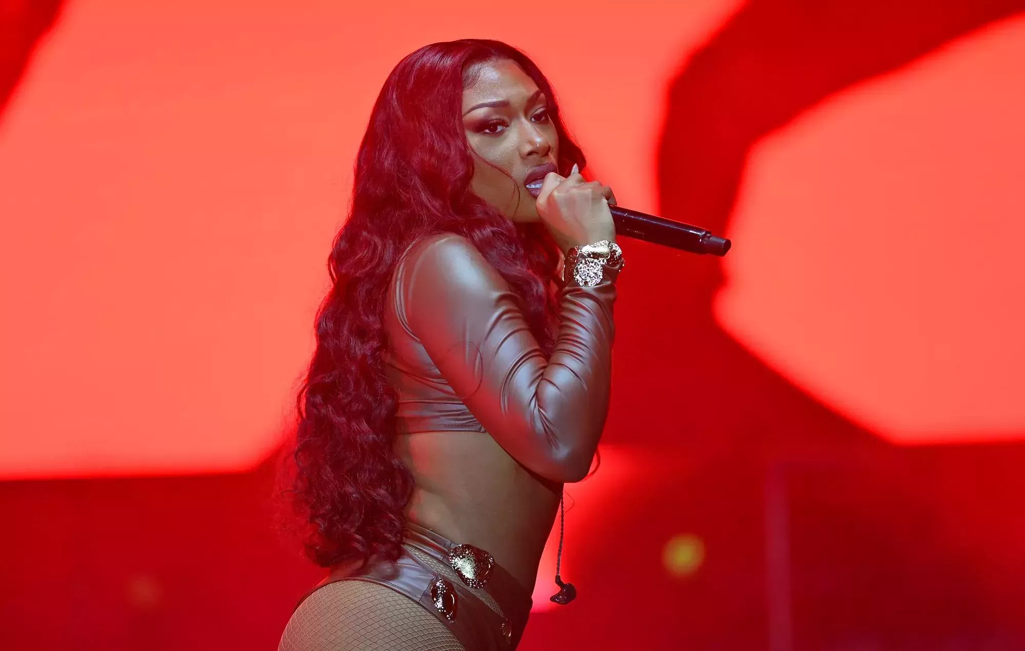 Megan Thee Stallion advierte de que 