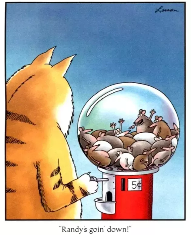 A cat operates a gumball machine that is full of mice, and one mouse is going down.