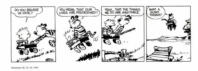 Calvin and Hobbes discuss "fate" as they ride toward a lake.