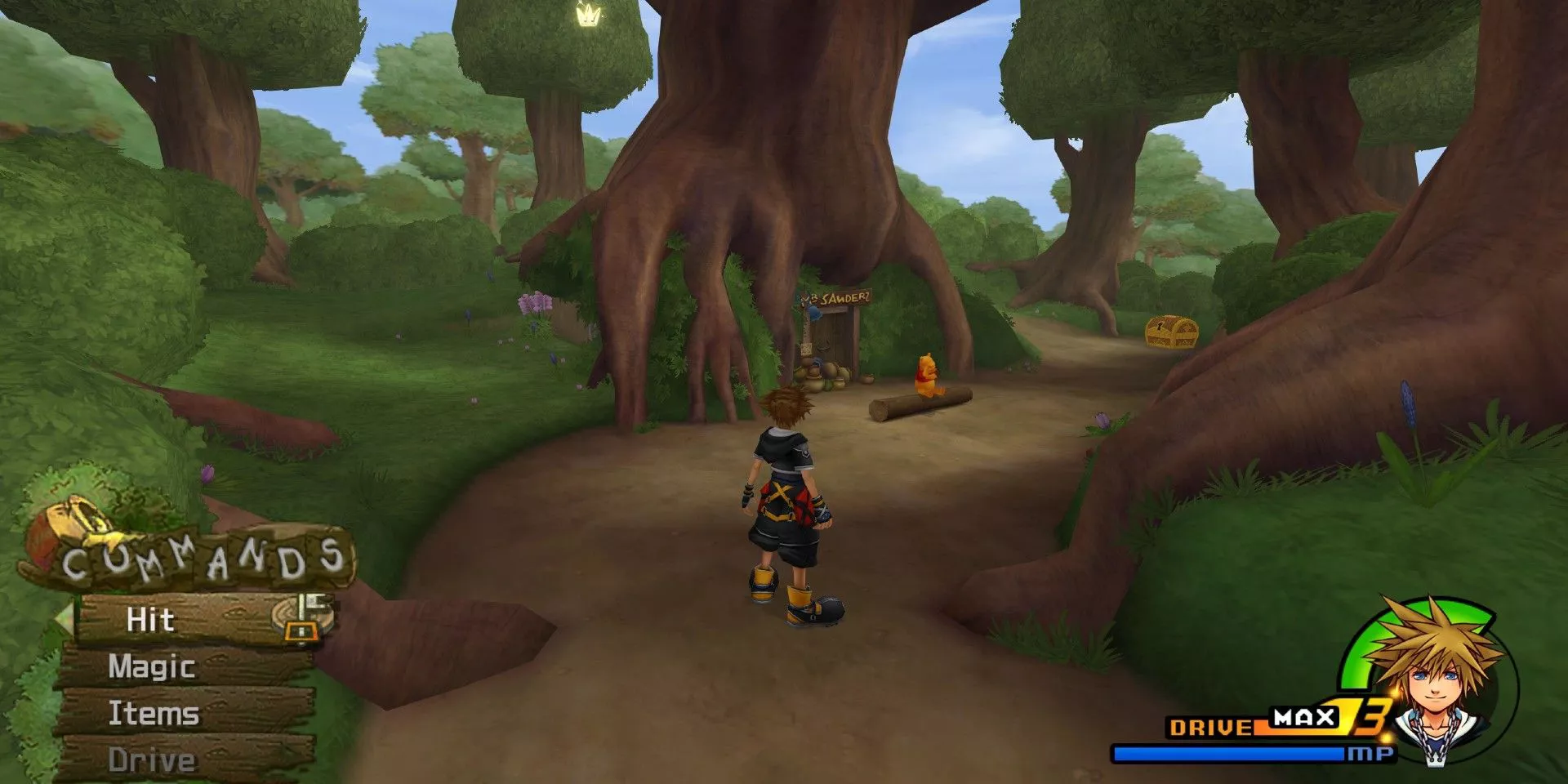 Sora en el Bosque de los Cien Acres en Kingdom Hearts