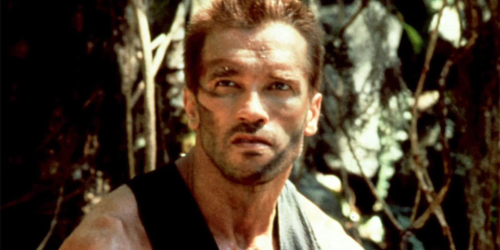 Arnold Schwarzenneger as Dutch surveying the forest in Predator.