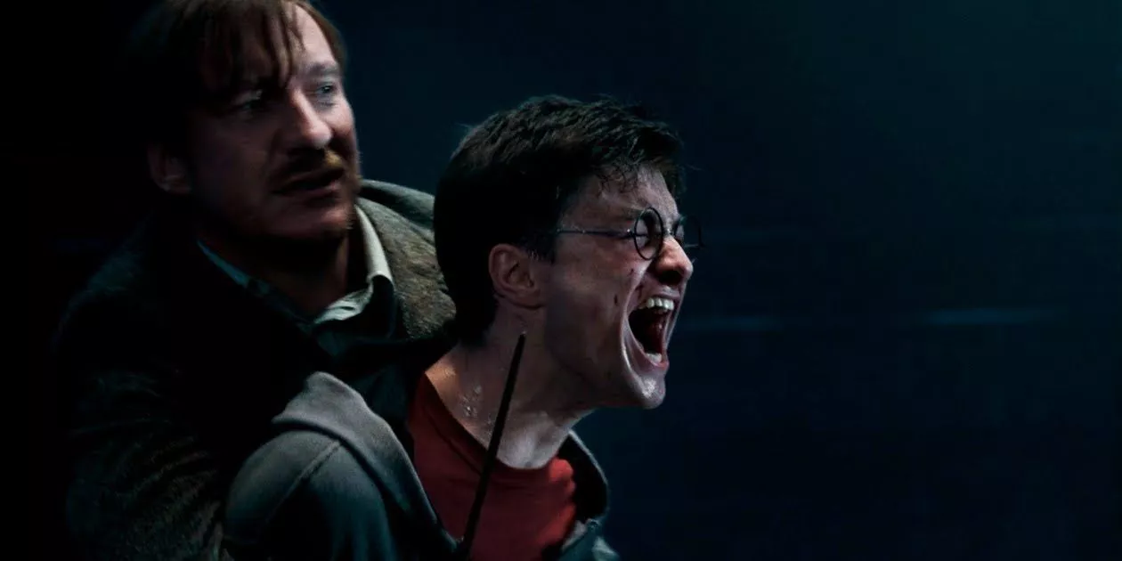 Harry gritando tras la muerte de Sirius en Harry Potter y la Orden del Fénix.