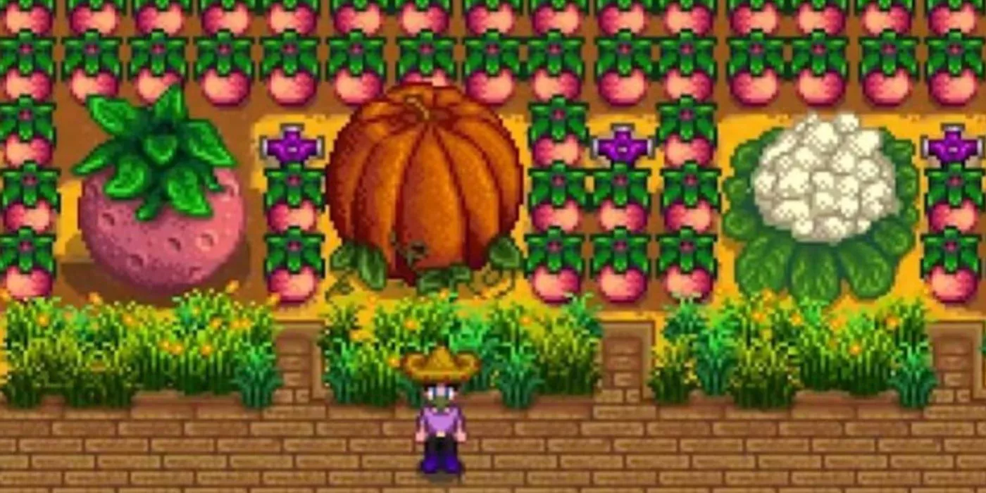 Un personaje jugador de Stardew Valley de pie cerca de cultivos gigantes.