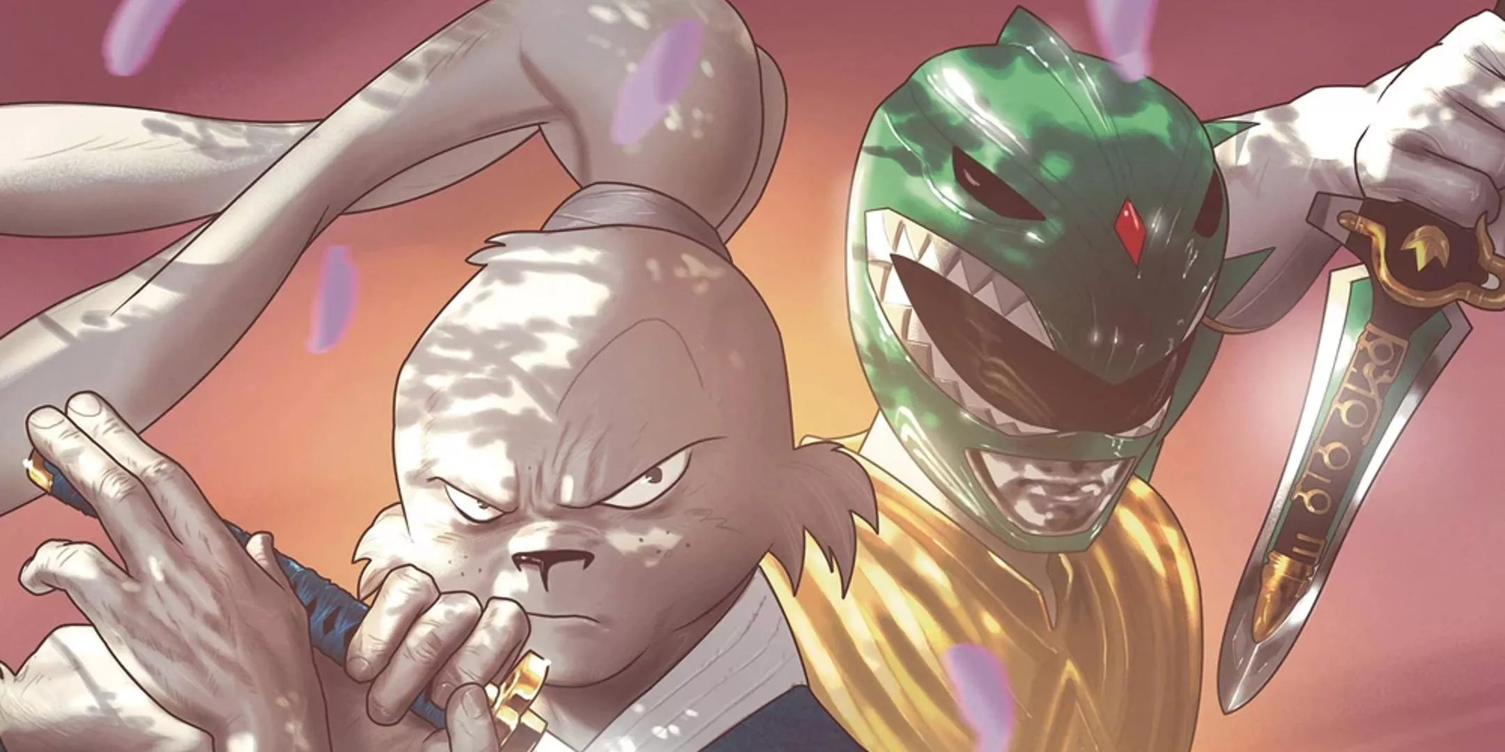 MMPR Usagi Yojimbo cover header