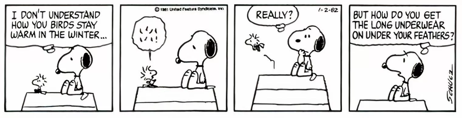 Snoopy wonders how birds keep warm during winter.