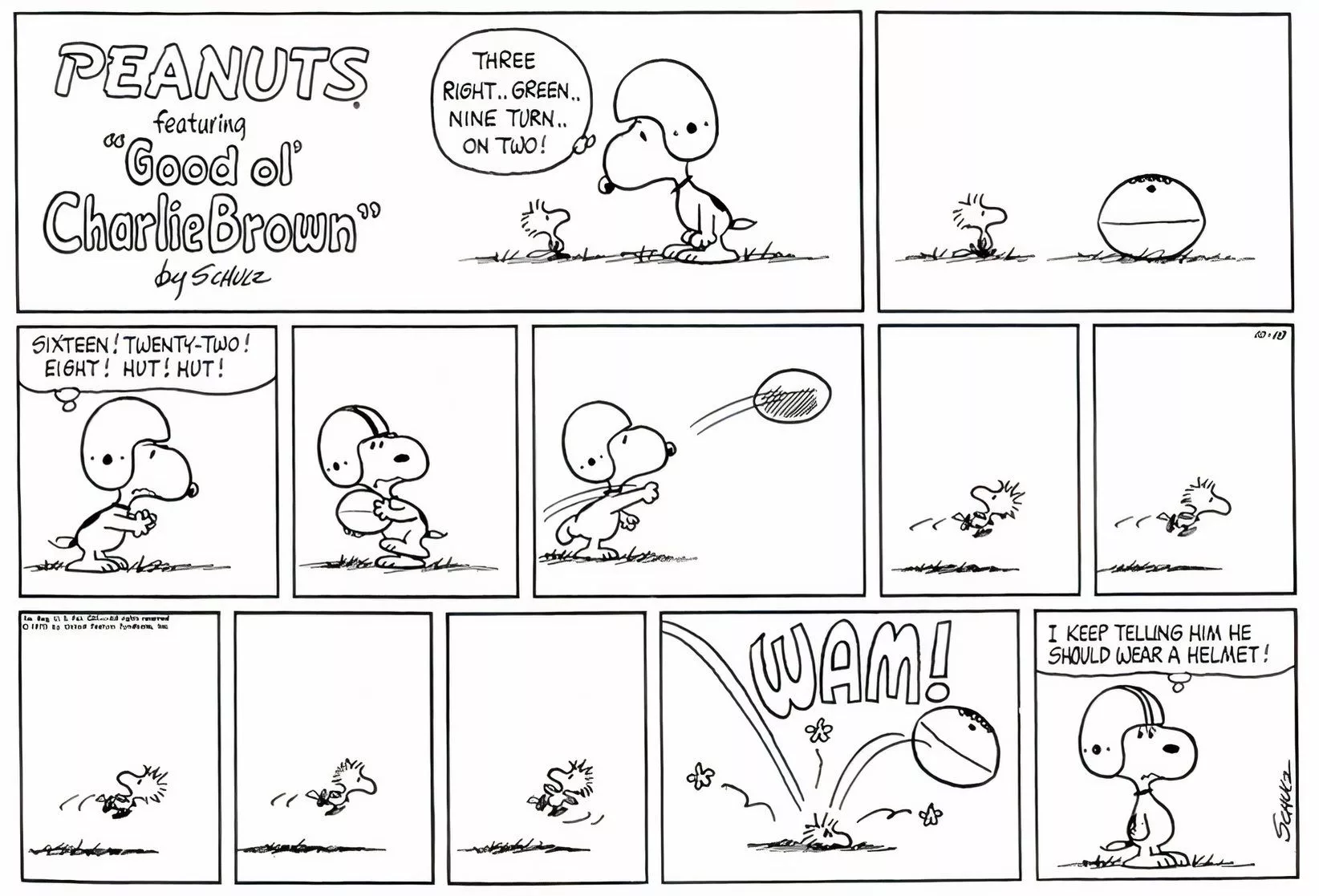 Snoopy tries to play football with Woodstock. It doesn't go well.