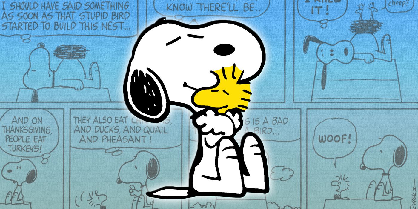 Las 10 mejores tiras cómicas de Woodstock en Peanuts, clasificadas