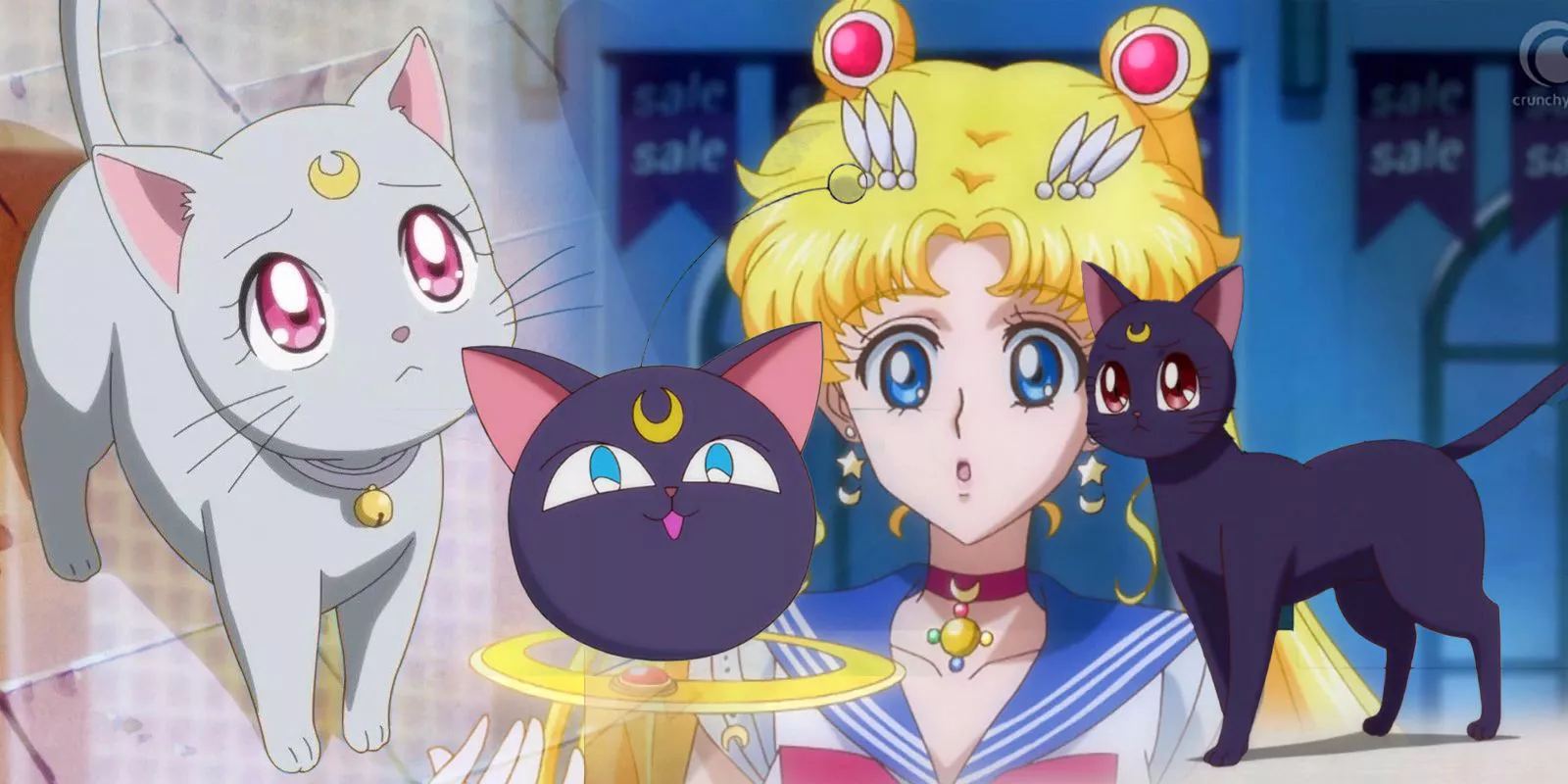 A collage including Luna, Luna-P, Diana, and Sailor Moon