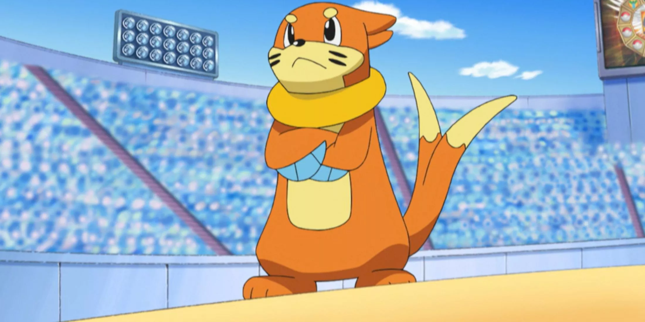 Buizel de Ash se prepara para luchar en Pokemon