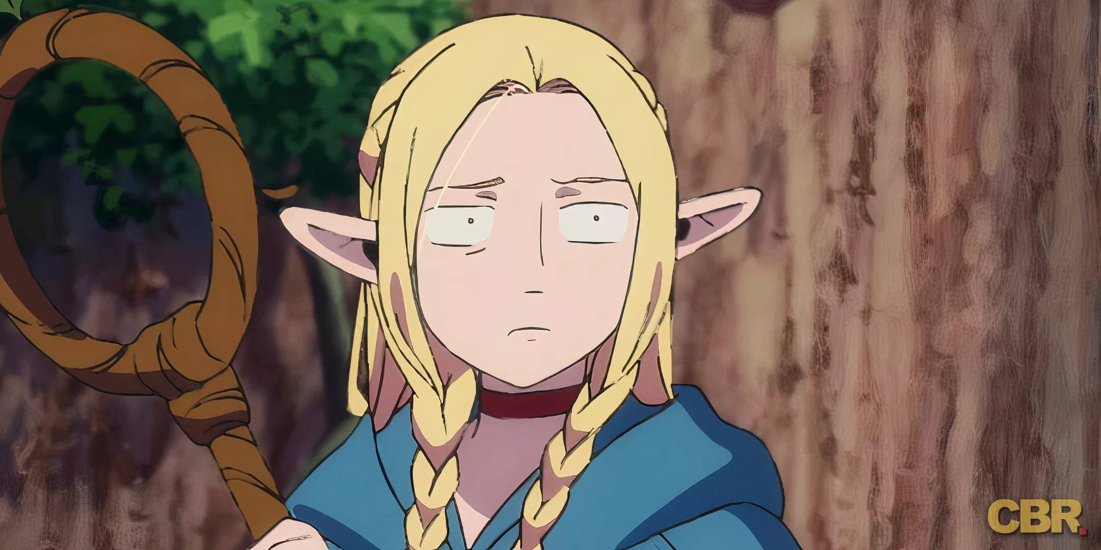 Marcille Feeling Frustrated with Laios in Delicious in Dungeon.