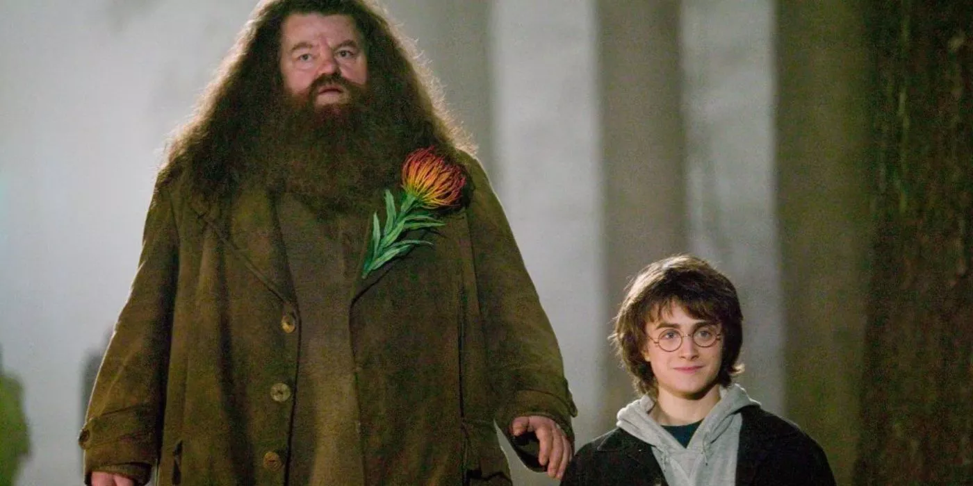 Hagrid and Harry in the forest in Harry Potter.