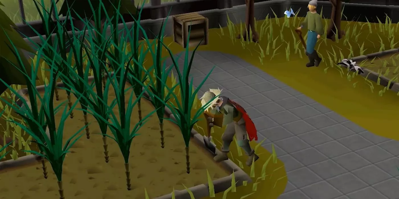 A player farming in Old School Runescape