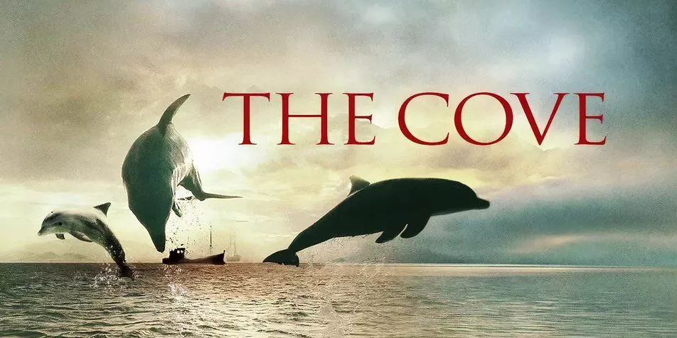 Dolphins jumping in the poster for the documentary The Cove