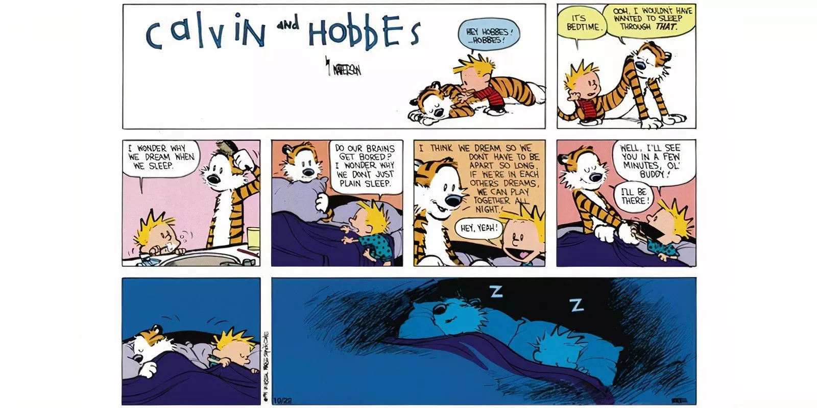 Calvin and Hobbes Dreaming