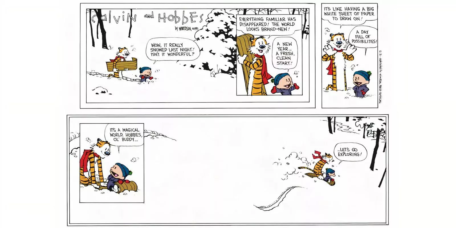 The Final Calvin and Hobbes Comic