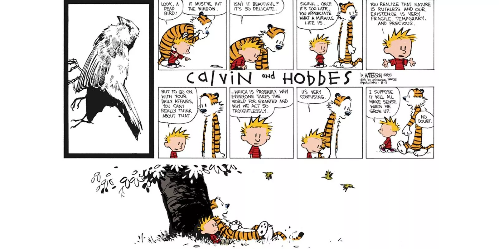 Calvin and Hobbes find a dead bird and philosophize about life